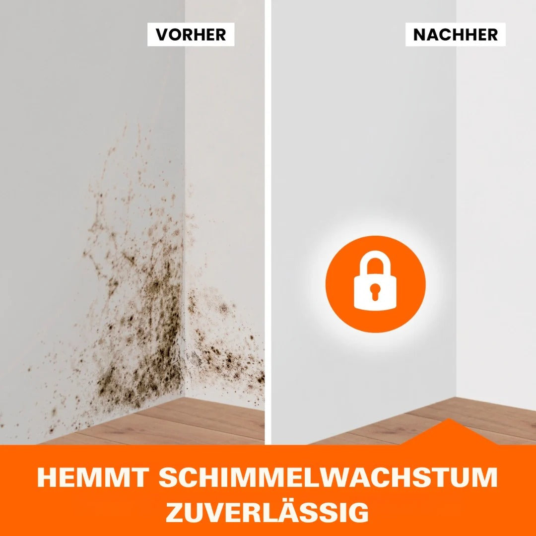Tonis SCHIMMELSCHOCK 5.1