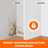 Tonis SCHIMMELSCHOCK 5.1